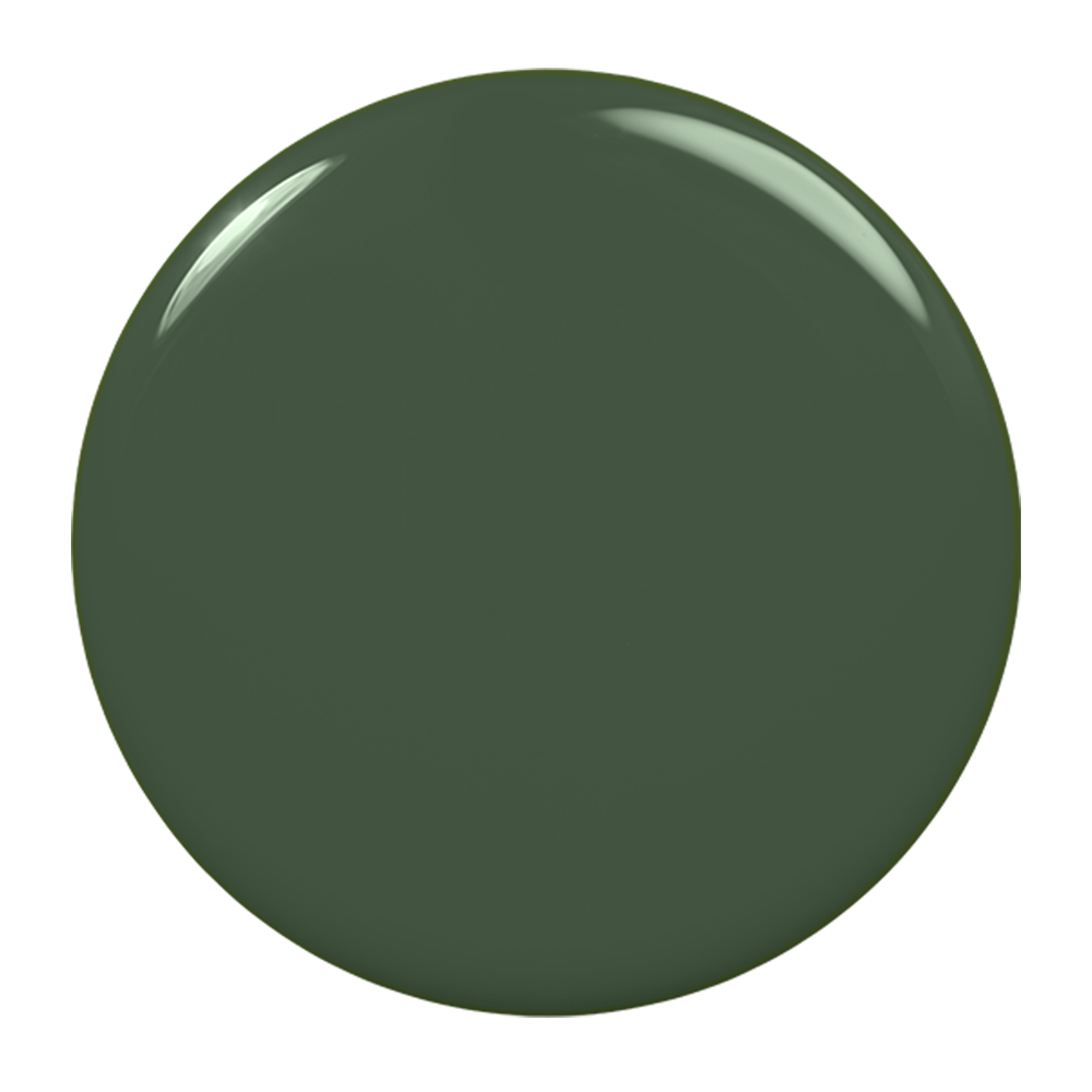 Solid dark green color swatch on a white background